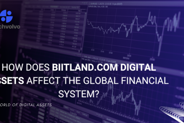 biitland.com digital assets